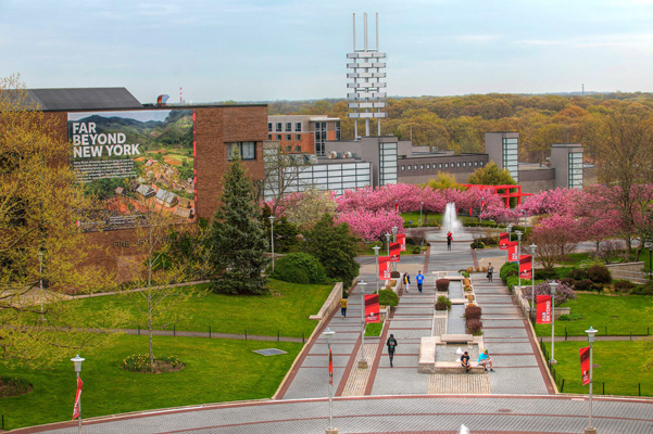 Stony Brook University--SUNY Logo