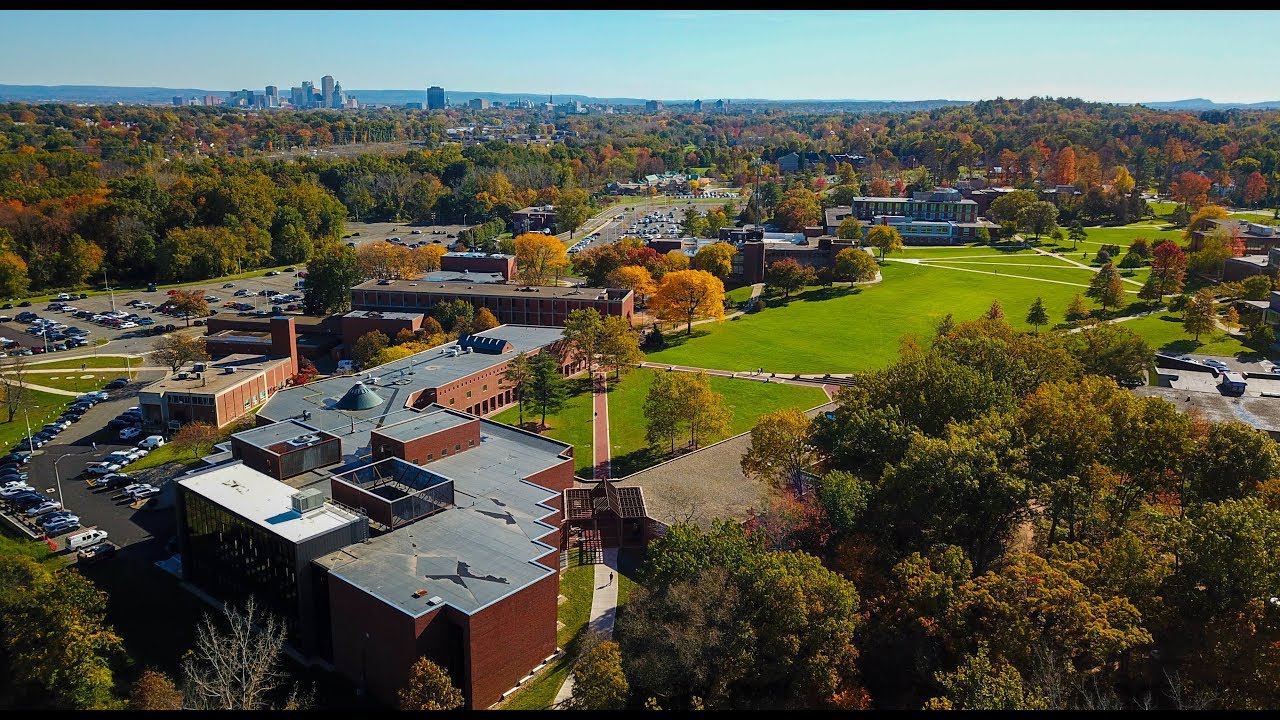 University of Hartford camouss
