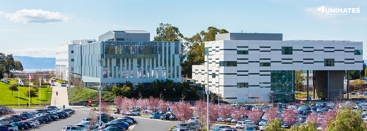 California-State-University,-East-Bay-LOGO