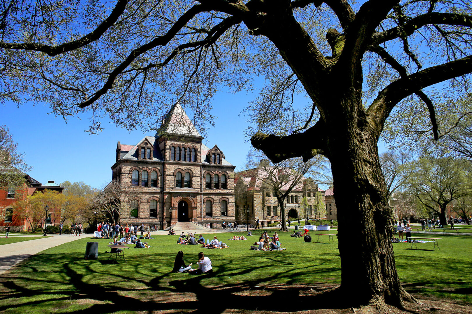 Brown University - 1 trong 8 trường thộc Ivy League