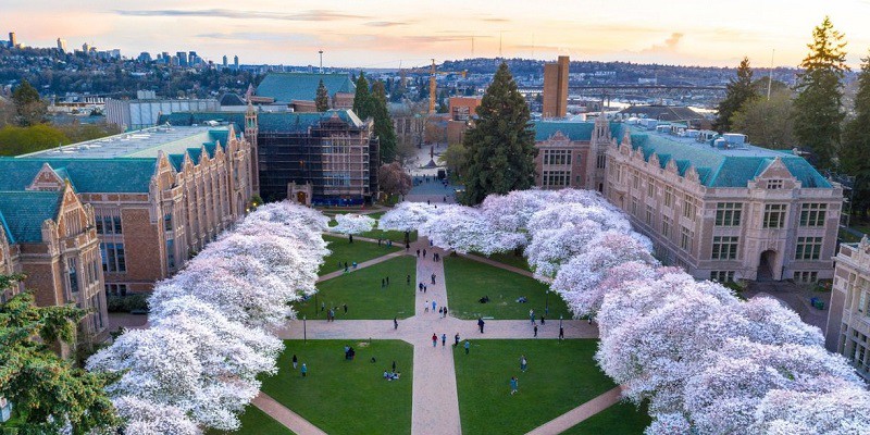 Đại học Washington, Seattle