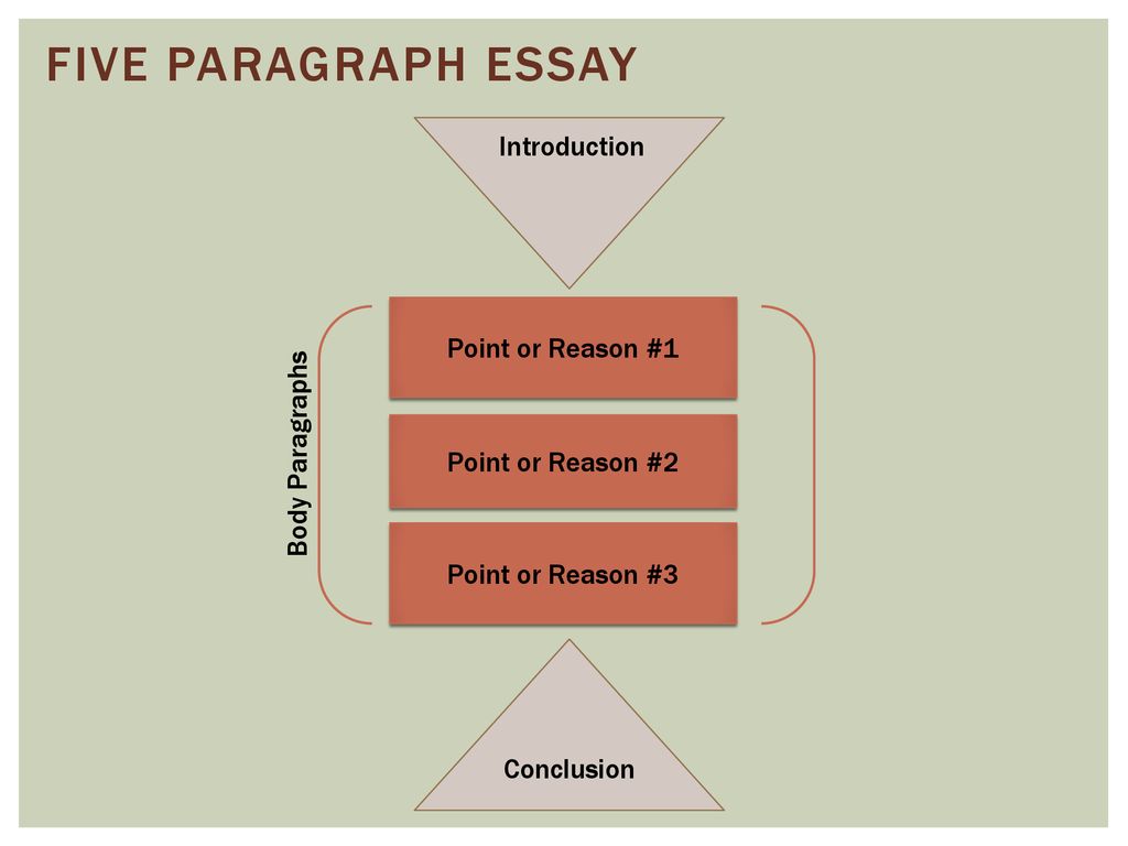 Cấu trúc một bài luận essay như thế nào?